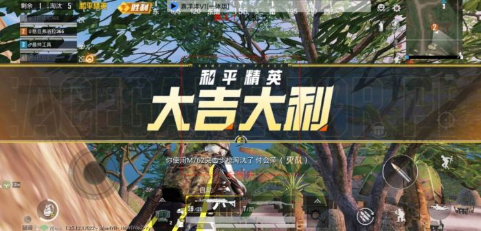 和平精英和王者荣耀为什么有外挂（和平精英和王者荣耀为什么一直火）